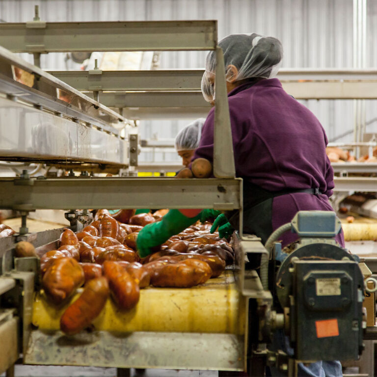 Business solutions for Africa provides construction services. This means you can offer your food supply services to the south African market